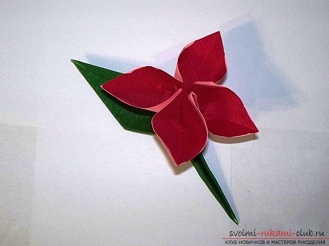 Простой цветок оригами. Фото №1